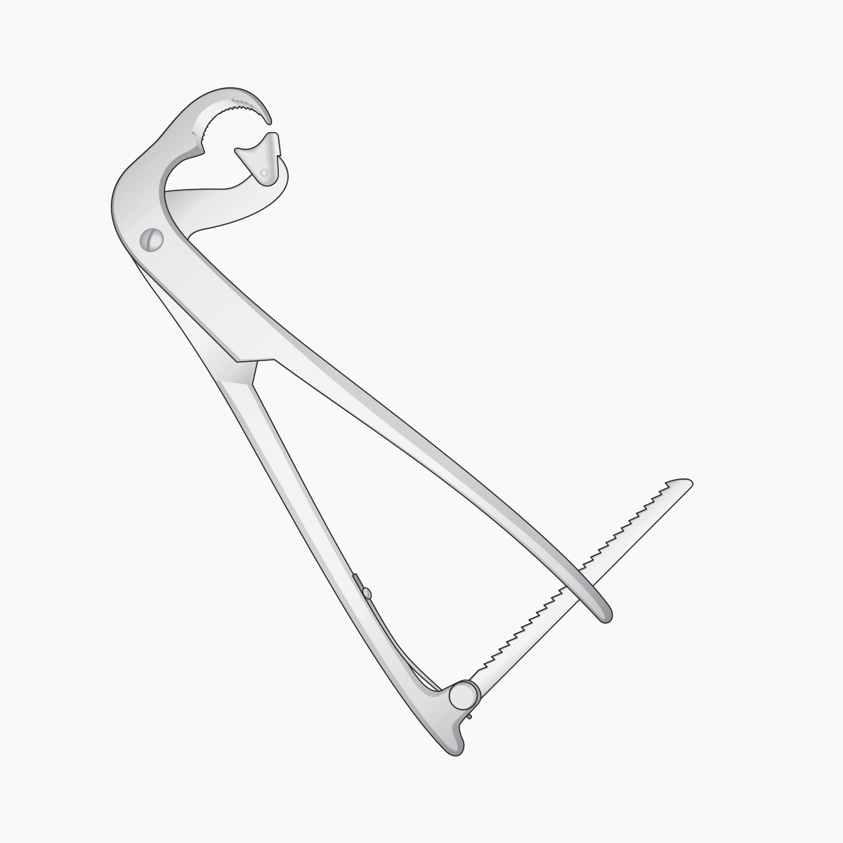 bone-surgery9